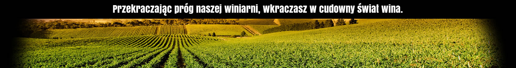 Winnice Winnice